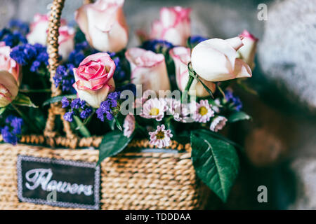 Pink roses in flower basket Stock Photo