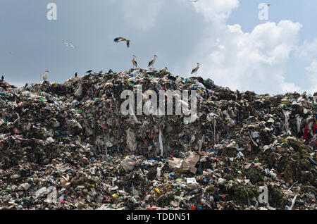 Pollution concept. Garbage pile in trash dump or landfill Stock Photo