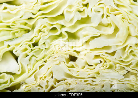 Savoy cabbage in a cut close-up. Vegetable background Stock Photo