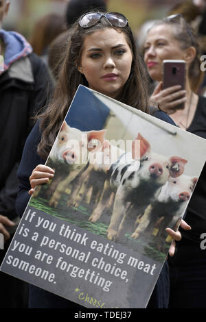 London, Greater London, UK. 8th June, 2019. An activist holds a placard during the march.Animal rights activists marched through central London to demand the closing of the slaughterhouses and to claim the abolition of slavery of the animals. Credit: Andres Pantoja/SOPA Images/ZUMA Wire/Alamy Live News Stock Photo