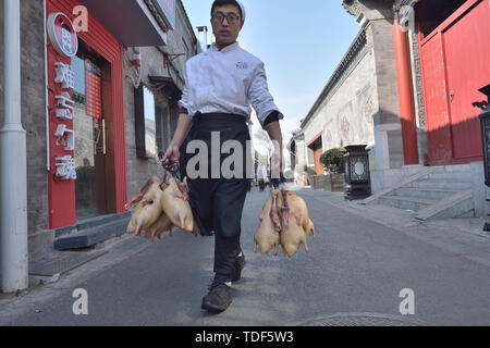 Prepare roasted ducks. Stock Photo