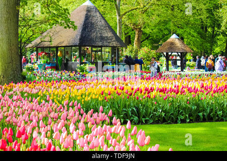 Keukenhof, Lisse, Netherlands - Apr 28th 2019: Beautiful spring gardens with colorful tulips and tourists walking through the famous park. Popular tourist attraction. Spring season. Amazing nature. Stock Photo