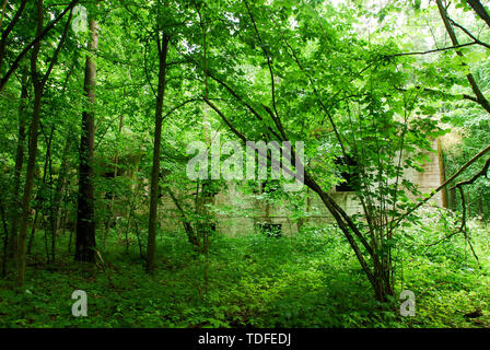 Reichssicherheitsdienst RSD (Reich Security Service) command post in Wolfsschanze (Wolf's Lair) in Gierloz, Poland. July 4th 2008, was one of Führerha Stock Photo