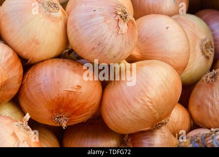 Fresh beautiful whole onions in shells Stock Photo