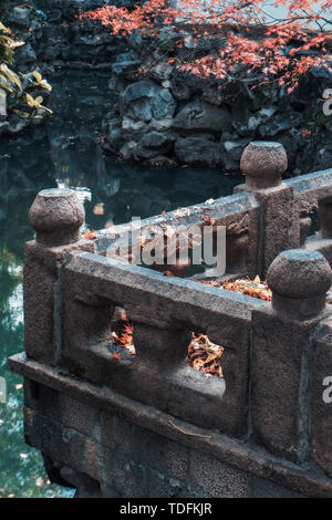 Falling leaves by the lake in autumn Stock Photo