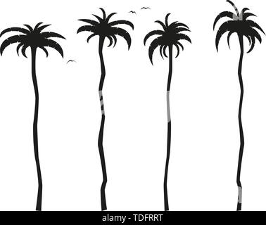 simple flat black and white tall palm trees icon vector illustration Stock Vector