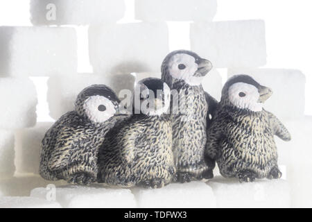 Creative filming cubes and penguins Stock Photo