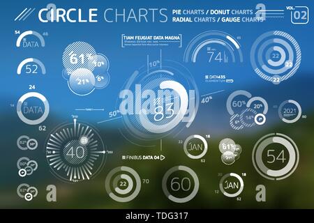 Circle Charts, Pie Charts, Donut Charts and Radial charts Infographic Elements Stock Vector
