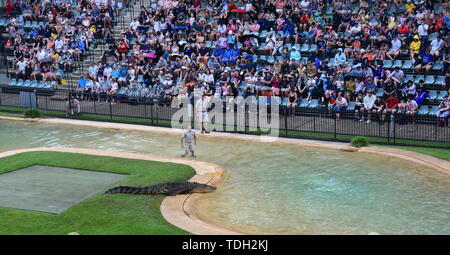 Beerwah, Australia - Apr 22, 2019. Crocodile show in the Crocoseum by Wes Mannion. Snake, bird and crocodile shows are conducted. Stock Photo