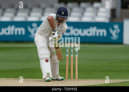 Chelmsford, UK. 16th June, 2019. CHELMSFORD, UNITED KINGDOM. 16th Jun, 2019. Rilee Rossouw of Hampshire Cricket Clue in action during todays match during Specsavers County Championship match: Essex vs Hampshire at Chelmsford Cricket Ground on Sunday, June 16, 2019 in  CHELMSFORD England. (Editorial use only, license required for commercial use. No use in betting, games or a single club/league/player publications. Credit: Taka Wu/Alamy Live News Stock Photo