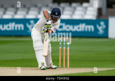 Chelmsford, UK. 16th June, 2019. CHELMSFORD, UNITED KINGDOM. 16th Jun, 2019. Rilee Rossouw of Hampshire Cricket Clue in action during todays match during Specsavers County Championship match: Essex vs Hampshire at Chelmsford Cricket Ground on Sunday, June 16, 2019 in  CHELMSFORD England. (Editorial use only, license required for commercial use. No use in betting, games or a single club/league/player publications. Credit: Taka Wu/Alamy Live News Stock Photo