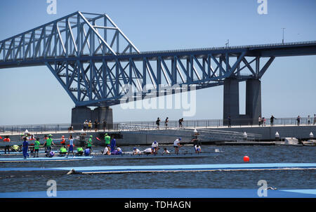 Tokyo. 16th June, 2019. Photo taken on June 16, 2019 shows a part of Sea Forest Waterway in Tokyo, Japan. The canoe and rowing games of Tokyo 2020 Olympic Games and Paralympic Games will be held in this venue. Credit: Jiang Yucen/Xinhua/Alamy Live News Stock Photo