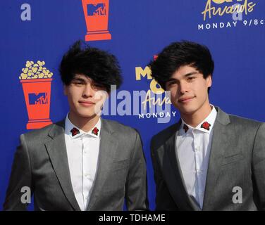 Alan Stokes and Alex Stokes (r) attend the 2019 MTV Movie & TV Awards at Barker Hangar in Los Angeles, USA, on 15 June 2019. | usage worldwide Stock Photo