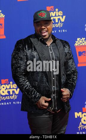 Los Angeles, USA. 16th June 2019. Rip Micheals attends the 2019 MTV Movie & TV Awards at Barker Hangar in Los Angeles, USA, on 15 June 2019. | usage worldwide Credit: dpa picture alliance/Alamy Live News Stock Photo