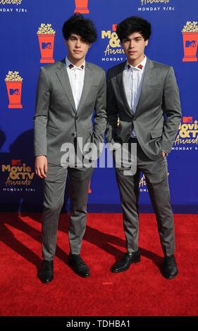 Los Angeles, USA. 16th June 2019. Alan Stokes and Alex Stokes (r) attend the 2019 MTV Movie & TV Awards at Barker Hangar in Los Angeles, USA, on 15 June 2019. | usage worldwide Credit: dpa picture alliance/Alamy Live News Stock Photo