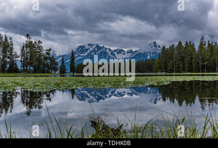 Reflection of Teton Range in Still Water of Heron Pond Stock Photo