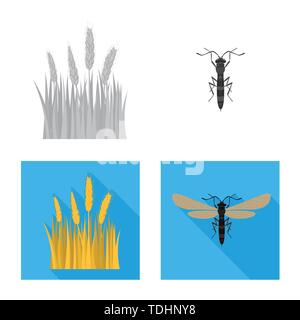 spring,fly,spike,insect,barley,pest,land,control,cornfield,stop,crop ...