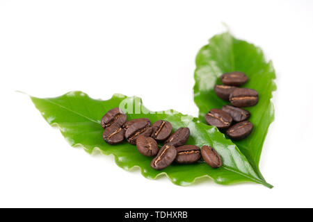 roasted coffee bean with leave isolated on white background Stock Photo