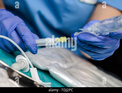 Nurse preparing medication for parenteral nutrition in a hospital, conceptual image Stock Photo