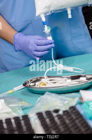 Nurse preparing medication for parenteral nutrition in a hospital, conceptual image Stock Photo