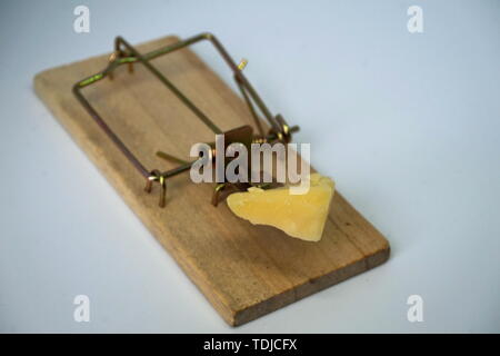 Mouse traps Stock Photo