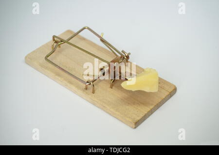 Mouse traps Stock Photo