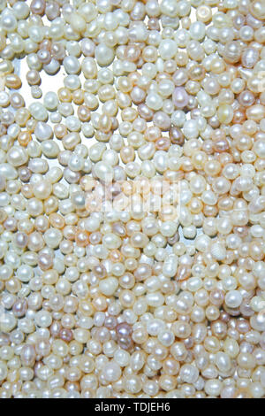 Freshwater pearls Stock Photo