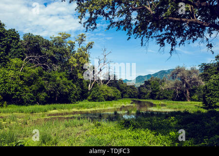 Africa, Zimbabwe, animals, nature pristine, Zambezi river, panorama, night view, starry sky, bonfire, burning clouds, aerial photography, mana photography, forest, sunset, silhouette, adventure, adventure Stock Photo