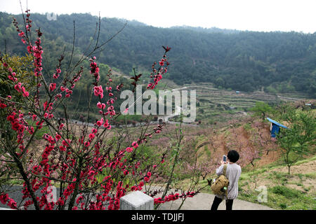The place where peach blossoms bloom in Yangshan, Tonglu, Hangzhou Stock Photo