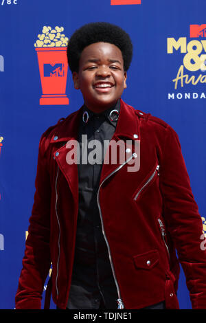 LOS ANGELES - JUN 15: Keith L. Williams at the 2019 MTV Movie & TV