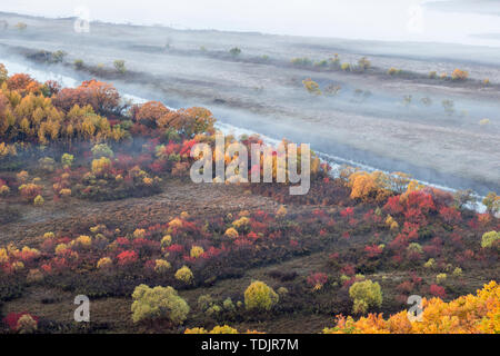 Autumn scenery of Zhenbao Island wetlands Stock Photo