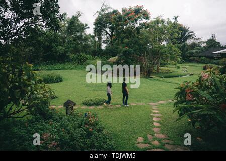 Couple walking in a beautiful green park Stock Photo