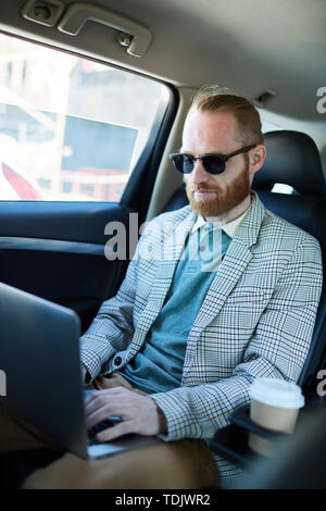 Content busy young bearded man in sunglasses sitting in back of car and typing on laptop while working on report Stock Photo