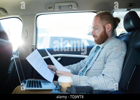 Serious thoughtful handsome young businessman with ponytail sitting in back of car and reading papers while preparing for speech Stock Photo