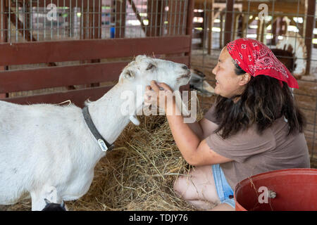 Perryville, Arkansas - Emily Koltes, a volunteer at Heifer Ranch, spends some time with a goat. Heifer Ranch is a 1,200-acre educational ranch that sh Stock Photo