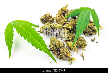 Overhead shot of Cannabis flower buds and Cannabis leafs isolated on white Stock Photo