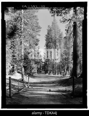 Old Big Oak Flat Road at intersection with New Tioga Road. Note gate for road to Tamarack Campground - Big Oak Flat Road, Between Big Oak Flat Entrance and Merced River, Yosemite Village, Mariposa County, CA Stock Photo