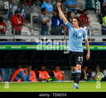 Belo Horizonte, Brazil. 16th June, 2019. Edinson Cavani scored the second goal of Uruguay during a match between Uruguay and Ecuador, valid for the group stage of the Copa America 2019, held this Sunday (16) at the Estádio do Mineirão in Belo Horizonte, MG. Credit: Dudu Macedo/FotoArena/Alamy Live News Stock Photo