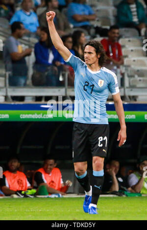 Belo Horizonte, Brazil. 16th June, 2019. Edinson Cavani scored the second goal of Uruguay during a match between Uruguay and Ecuador, valid for the group stage of the Copa America 2019, held this Sunday (16) at the Estádio do Mineirão in Belo Horizonte, MG. Credit: Dudu Macedo/FotoArena/Alamy Live News Stock Photo