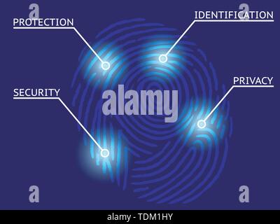 Fingerprint Identification with Whorls - Security and privacy concept Stock Vector