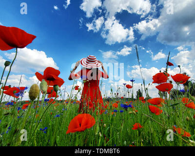 Dreamy woman in red dress and a big red striped hat turned back in beautiful herb flowering poppy field. Vintage elegant romantic look. concept of Stock Photo