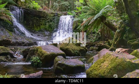 beautiful horseshoe falls at mount field, tasmania Stock Photo