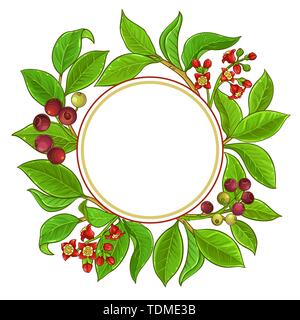 sandalwood vector frame on white background Stock Vector