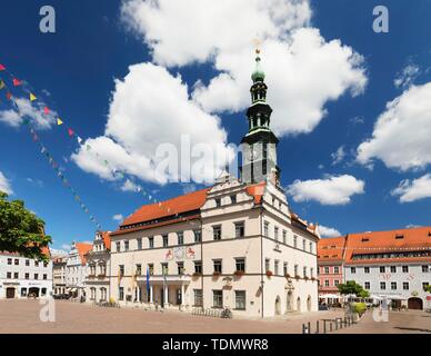Town hall at the market, Pirna, Saxon Switzerland, Saxony, Germany Stock Photo