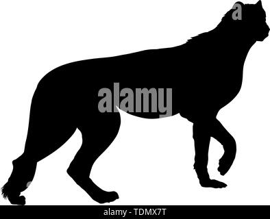 Leopard Silhouette. Highly Detailed Smooth Design. Vector Illustration. Stock Vector