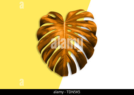 Bright colored sheet of palm. Exotic plant. Conceptual contemporary art. Summer style. Art gallery design. Creative Stock Photo