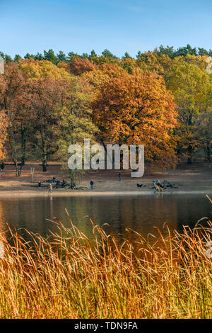 Grunewaldsee, Grunewald, Berlin, Deutschland Stock Photo