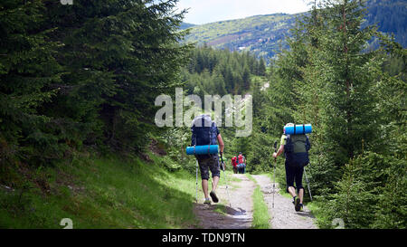 adventure, travel, tourism, hike and people concept - group of friends walking with backpacks from back Stock Photo