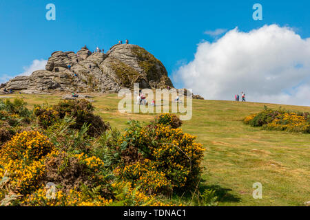 Haytor Rock, Dartmoor NP, Devon, UK Stock Photo