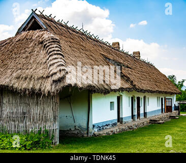 View on a beautiful horse while walking in the yard. Stock Photo